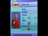 Les Sims Billard